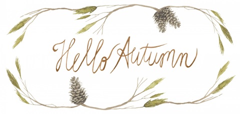 Sophisticated Harvest Collection C