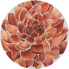 Stained Glass Posy Collection C