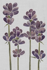 Stained Glass Posy Collection D