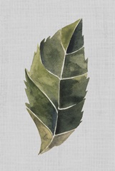 Stained Glass Posy Collection F