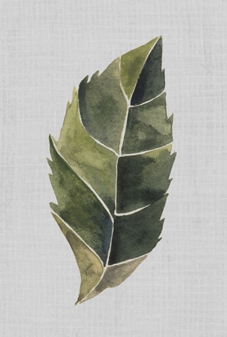 Stained Glass Posy Collection F