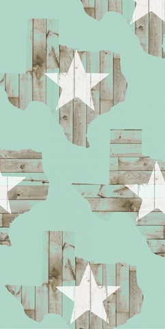 State Pride Collection B