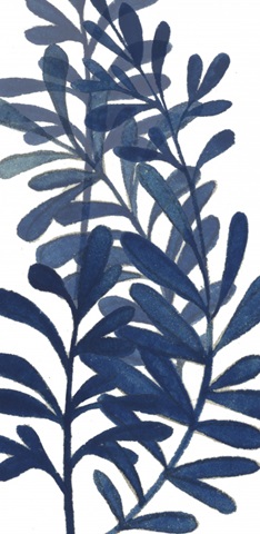 Summertime Typography Collection B