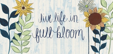 Sunny Day Collection C