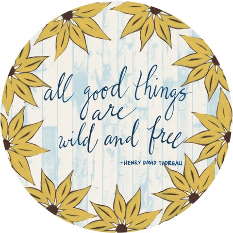 Sunny Day Collection E