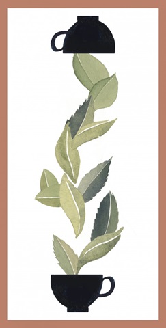 Tea Varieties Collection B