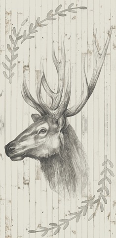 Timberland Animals Collection B