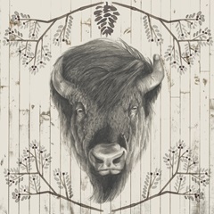 Timberland Animals Collection E