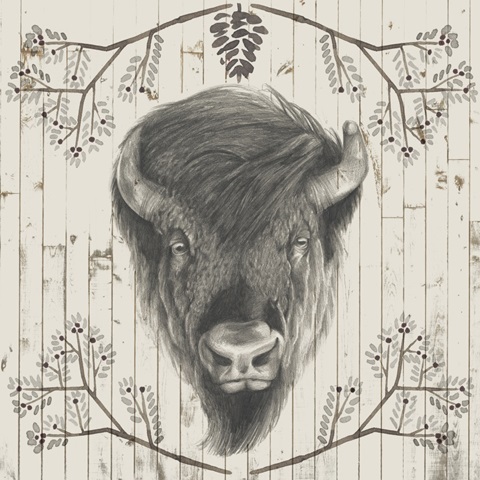 Timberland Animals Collection E