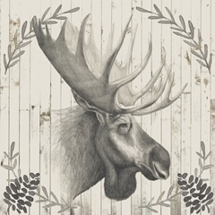 Timberland Animals Collection F