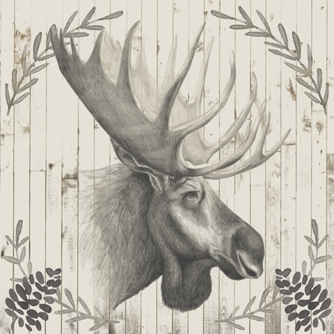 Timberland Animals Collection F