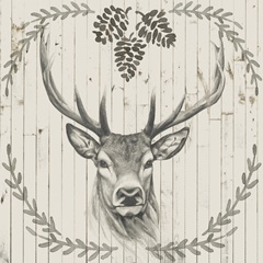 Timberland Animals Collection H