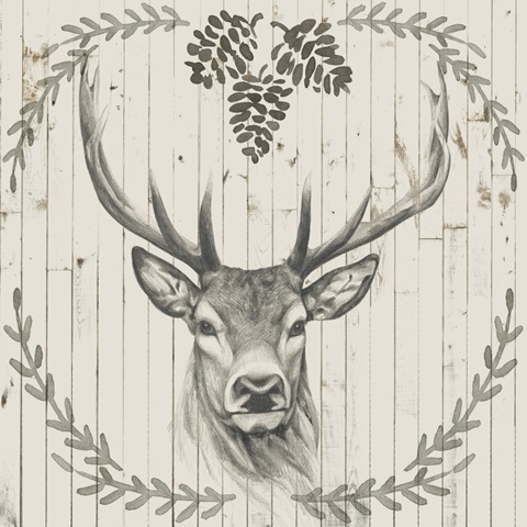 Timberland Animals Collection H