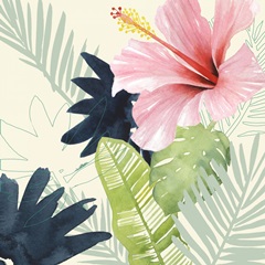 Tropical Punch Collection A