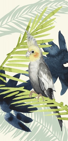 Tropical Punch Collection B