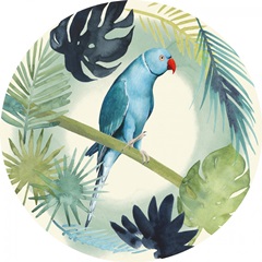 Tropical Punch Collection E