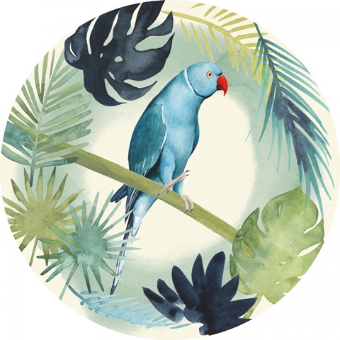 Tropical Punch Collection E