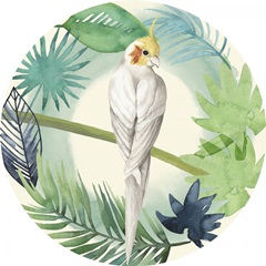 Tropical Punch Collection F