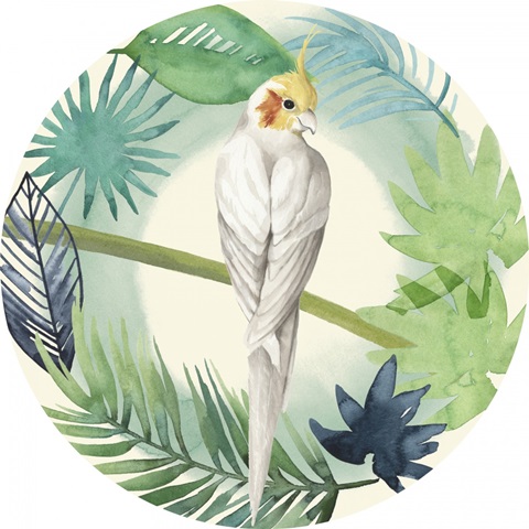 Tropical Punch Collection F