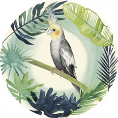 Tropical Punch Collection G