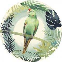 Tropical Punch Collection H