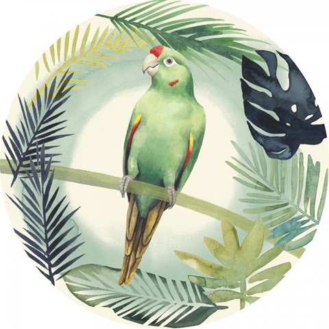 Tropical Punch Collection H