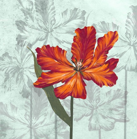 Tulip Portrait Collection E