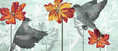 Tulip Portrait Collection H