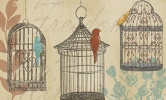 Uncaged Collection A