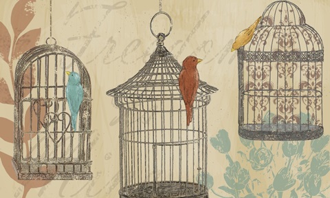 Uncaged Collection A