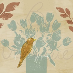 Uncaged Collection B