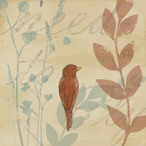 Uncaged Collection C