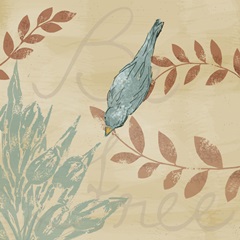 Uncaged Collection D