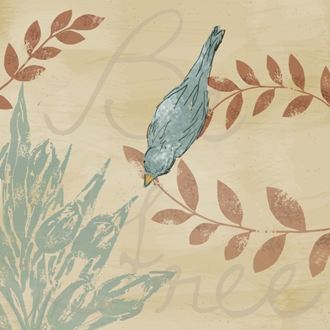 Uncaged Collection D