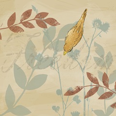 Uncaged Collection E