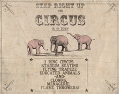 Vintage Circus Collection A