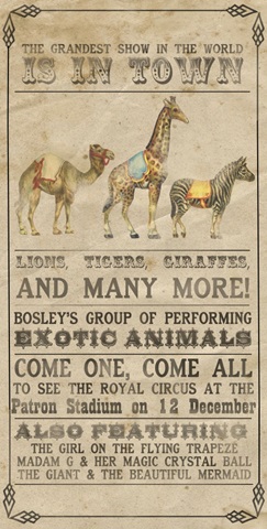 Vintage Circus Collection B