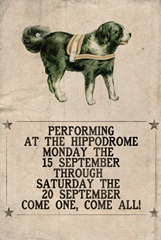 Vintage Circus Collection D