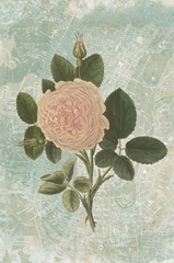 Visiting Sites Collection E