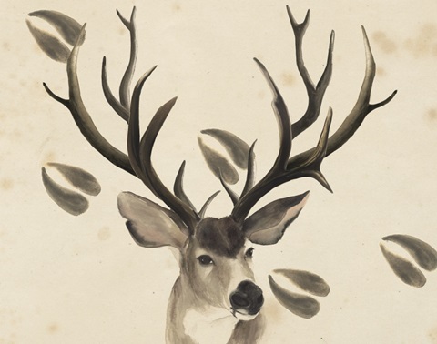 Watercolor Animals Collection A