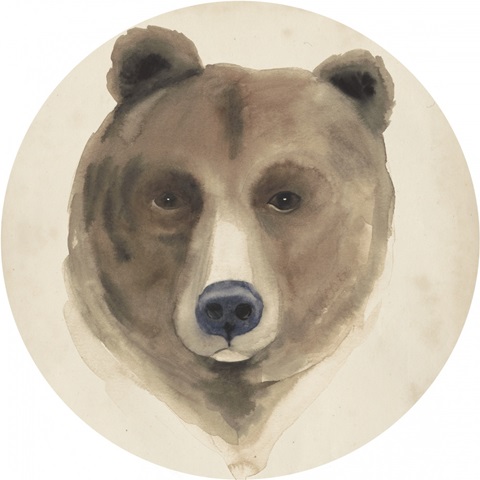 Watercolor Animals Collection C