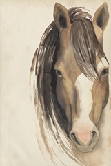 Watercolor Animals Collection D