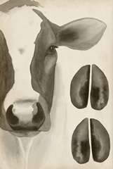 Watercolor Animals Collection E