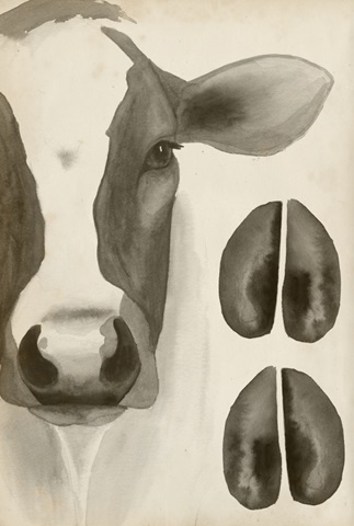 Watercolor Animals Collection E