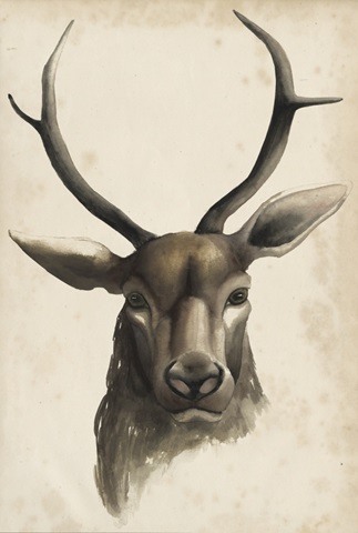 Watercolor Animals Collection F