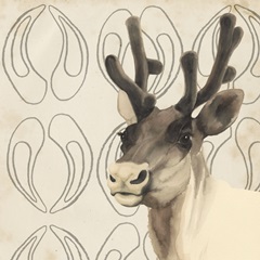 Watercolor Animals Collection G