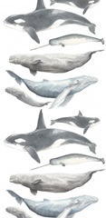 Watercolor Whale Collection B