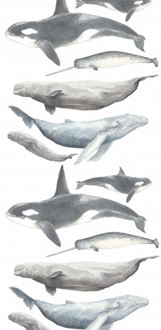 Watercolor Whale Collection B