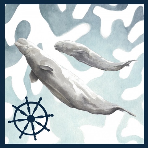 Watercolor Whale Collection F