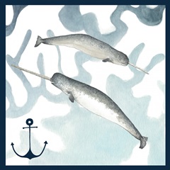 Watercolor Whale Collection H